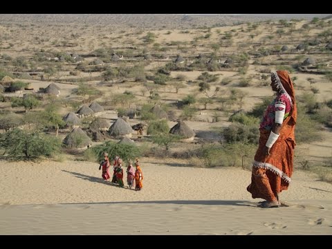 Thar Sindh Region - Water Project